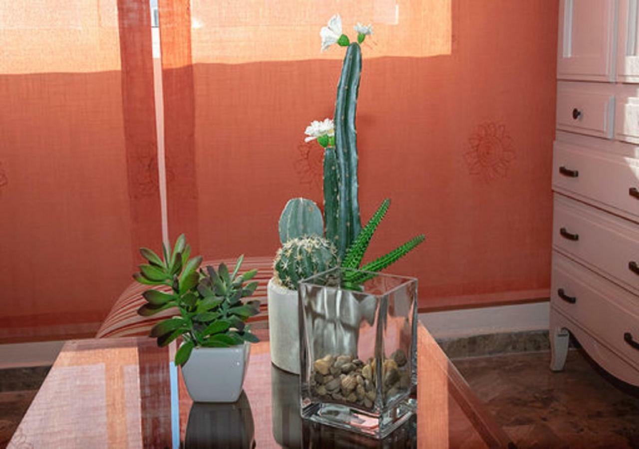 דירות קורדובה Apartamento Pleno Centro Victoria Parking Gratis מראה חיצוני תמונה